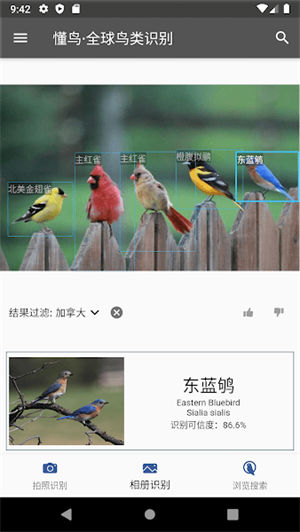 懂鸟app安卓最新版